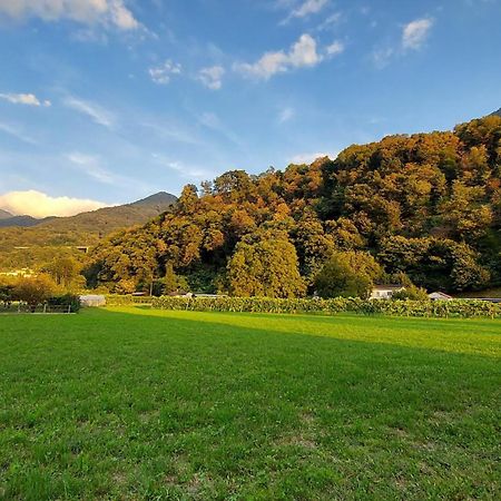 ホテル 33 Cadenazzo エクステリア 写真